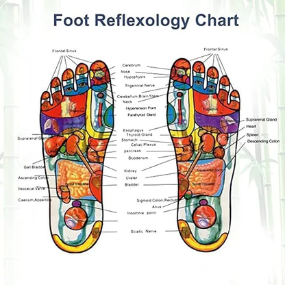 Detox Foot Pads